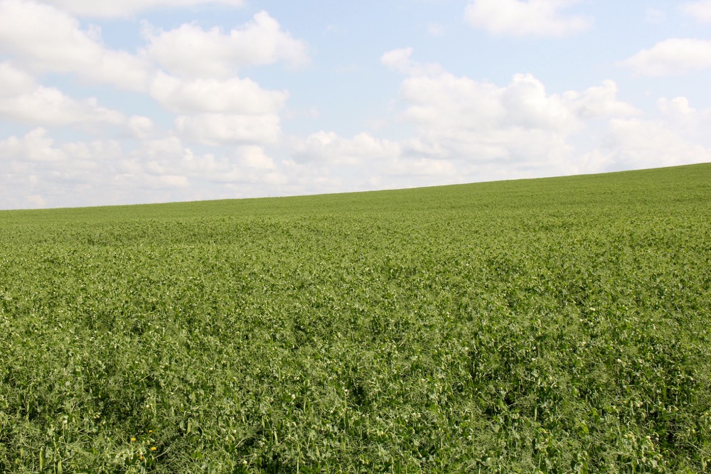 Herbicide “layering” strategy delivers multiple punches