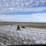 Our rough collie, Duff, managed to keep up with the side-by-side pretty well, though he refuses to ride on the toboggan.