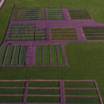 SM AG Research operates small test plots, testing pre-commercialized products for agricultural clients.