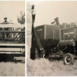 Left: My father bought this 21A Massey in 1948. Right: We purchased this 27 Massey in 1951. We attached a baler to the back. I used this machine for custom combining.