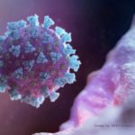 An image created by Nexu Science Communication, together with Trinity College in Dublin, shows a model structurally representative of a betacoronavirus, the type of virus linked to COVID-19. (Nexu Science Communication via Reuters)
