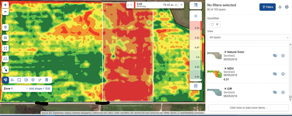 In parts of the field, wheat plants were pale, shorter and had smaller heads than the healthy-looking wheat. Maturity was delayed. Tissue tests would show the truth.