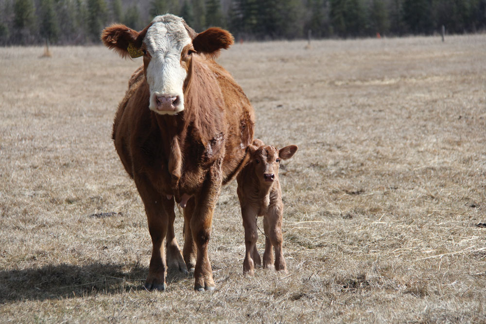 In this line of work, offspring are welcome on the job site.
