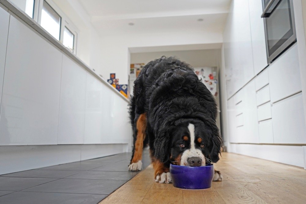 (Kriste Sorokaite/iStock/Getty Images)
