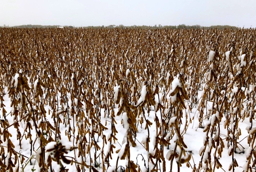 (File photo by Greg Berg)
