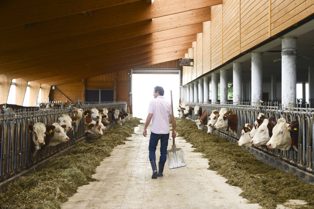 Whether it’s fixing machinery or feeding cows, chances are much of your day is spent using your arms in a 180-degree range in front of your body.