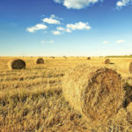 Are you losing money when selling bales? Consider the alternatives.
