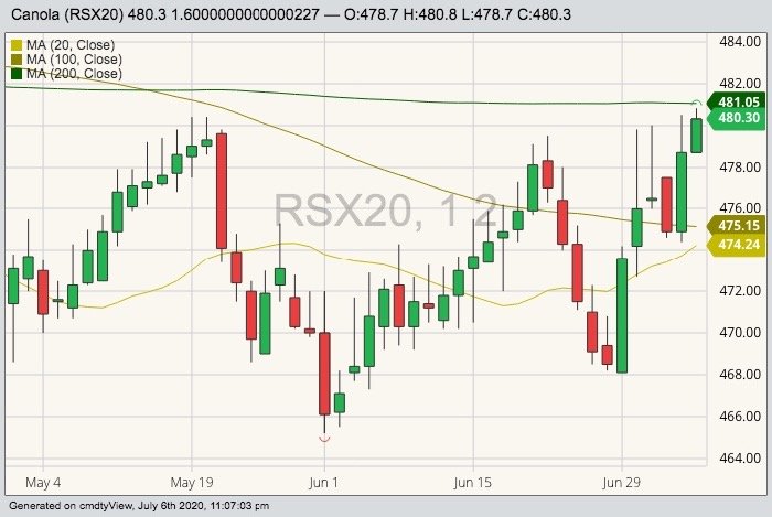 ICE November 2020 canola with 20-, 100- and 200-day moving averages. (Barchart)