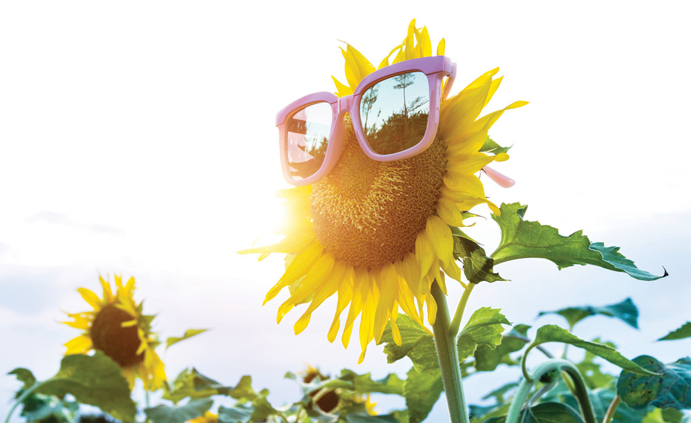 Froese: How to increase the fun factor this summer
