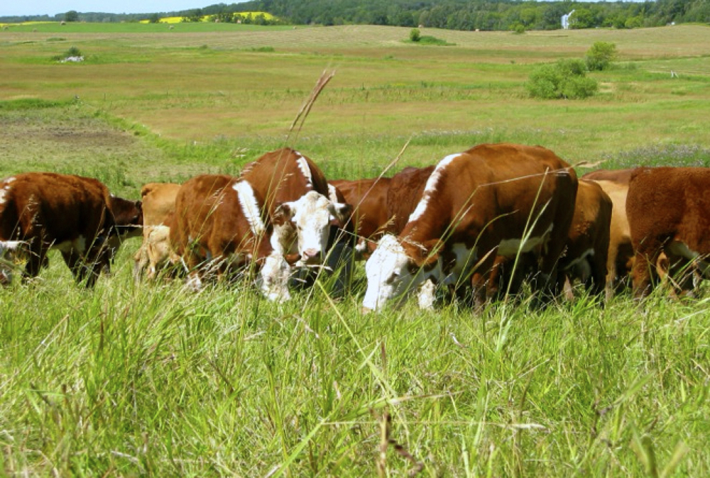 Adapting management practices to changing times