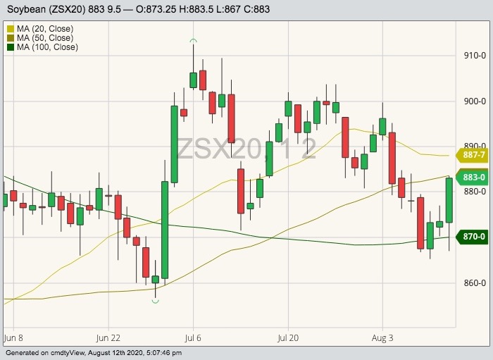 CBOT November 2020 soybeans with 20-, 50- and 100-day moving averages. (Barchart)

