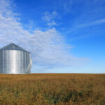 The size of grain bins has exploded in the last generation and it’s not uncommon to see 30- to 60-foot-high bins. Climbing these high bins without any protection is incredibly dangerous, says Robert Gobeil, an agricultural health and safety specialist with the Canadian Agricultural Safety Association.