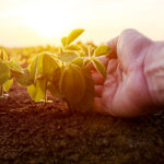 There is an extraordinary amount of things on a farmer’s mind, at the best of times. This year that number has multiplied.