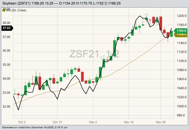 CBOT January 2021 soybeans (candlesticks) with 20-day moving average (green line) and CBOT January 2021 soyoil (black line). (Barchart)
