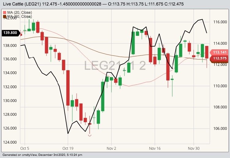 CME February 2021 live cattle (candlesticks) with 20- and 50-day moving averages and January 2021 feeder cattle (black line). (Barchart)