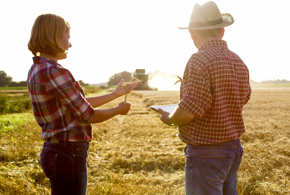 Improved cost of production budgets can improve management decisions.