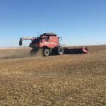 Robin Cristo says it was a challenge to pick up the lowest pods with combines equipped with flex headers without also picking up rocks in the field.