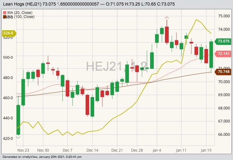 CME April 2021 lean hogs with 20- and 100-day moving averages plus CBOT May 2021 corn (yellow line). (Barchart)
