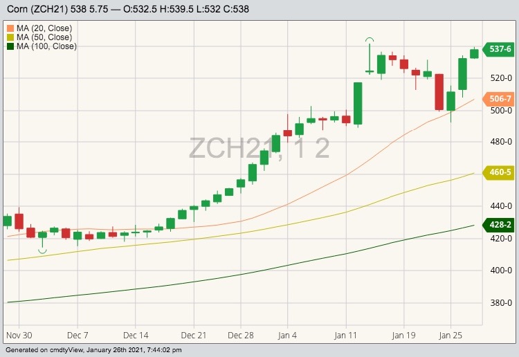 CBOT March 2021 corn with 20-, 50- and 100-day moving averages. (Barchart)
