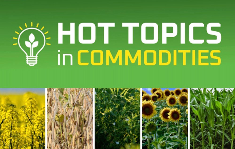 Online series covers Hot Topics in Commodities&nbsp;