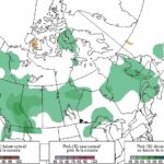 Forecast probability of precipitation above, below and near normal for the period from February through April 2021, based on three equiprobable categories from 1981-2010 climatology. Map produced Jan. 31, 2021. (Map: Environment and Climate Change Canada)