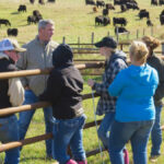 Students at Lakeland College have hands-on learning in beef production.