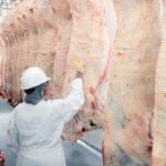 The number of cattle processed at Canadian and U.S. packing plants exceeded expectations from July through December 2020.