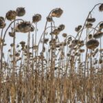 (GZKele/iStock/Getty Images)
