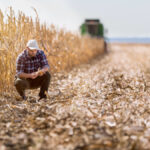 ‘One of the tricks of farming and, I imagine, any discipline or vocation, is the ability to act and make decisions despite not having all the answers.’ – Toban Dyck