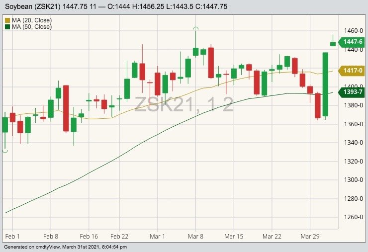 CBOT May 2021 soybeans with 20- and 50-day moving averages. (Barchart)
