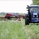 Crops such as alfalfa hay (seen here), corn stover or small grain cereal straw contain huge amounts of potassium.