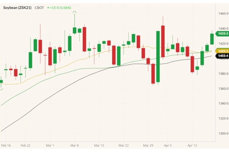 CBOT May 2021 soybeans (candlesticks) with 20-, 40- and 50-day moving averages (gold, green and black lines). (Barchart)

