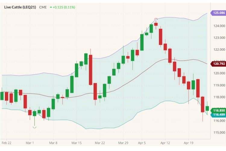 CME August 2021 live cattle with Bollinger (20,2) bands. (Barchart)
