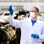 Protective equipment and good cleaning protocols go a long way in preventing the spread of disease.