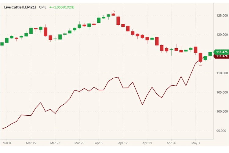 CME June 2021 live cattle (candlesticks) with June 2021 lean hogs (dark red line). (Barchart)
