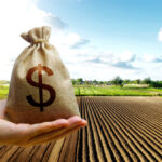 ‘When moisture is the overriding limiting factor to crop yield, even the best land will not pay the mortgage in the long run. The past decade of extra precipitation has led to prices that, I think, are not sustainable.’ – Les Henry.