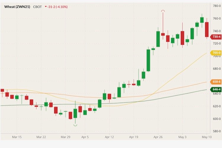 CBOT July 2021 wheat (candlesticks) with 20-, 50- and 100-day moving averages (yellow, orange, dark green lines). (Barchart)
