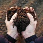 In order for crops to grow successfully, a select group of nutrients need to be present in your soil.