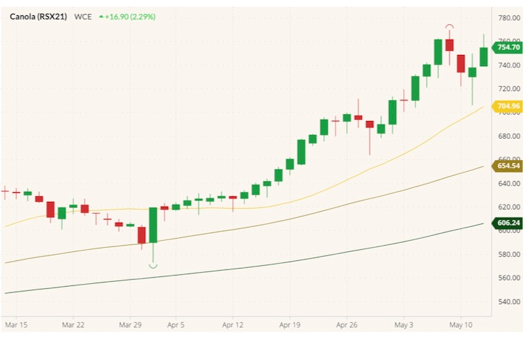 ICE November 2021 canola with 20-, 50- and 100-day moving averages. (Barchart)
