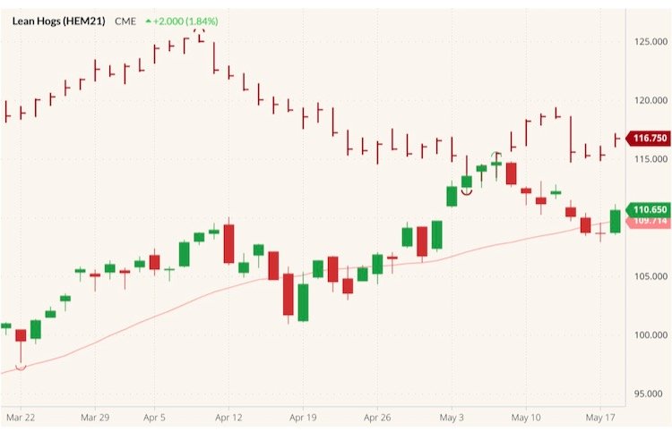 CME June 2021 lean hogs (candlesticks) with 20-day moving average (pink line) and June 2021 live cattle (red high/low/close). (Barchart)
