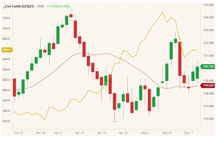 CME August 2021 live cattle (candlesticks) with 20-day moving average (red line) and CBOT July 2021 corn (yellow line, left column). (Barchart)

