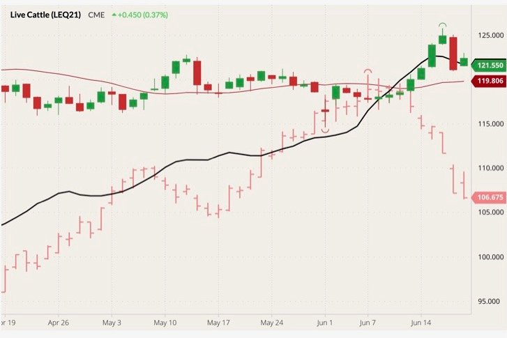 CME August 2021 live cattle (candlesticks) with 20-day moving average (dark red line), CME July 2021 lean hogs (pink open/high/low/close) and CME lean hog index (black line). (Barchart)
