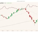 CME August 2021 lean hogs (candlesticks) with 20- and 100-day moving averages (pink and brown lines) and August 2021 live cattle (dark red line). (Barchart)