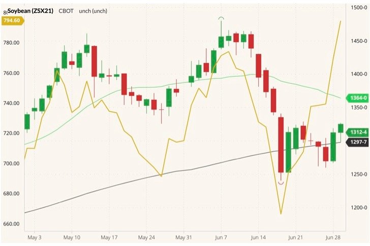 CBOT November 2021 soybeans (candlesticks) with 20- and 100-day moving averages (green and black lines) and ICE November 2021 canola (yellow line, left column). (Barchart)
