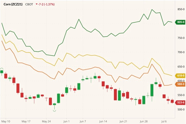 CBOT December 2021 corn (candlesticks) with MGEX, CBOT and K.C. September 2021 wheats (green, yellow and orange lines). (Barchart)
