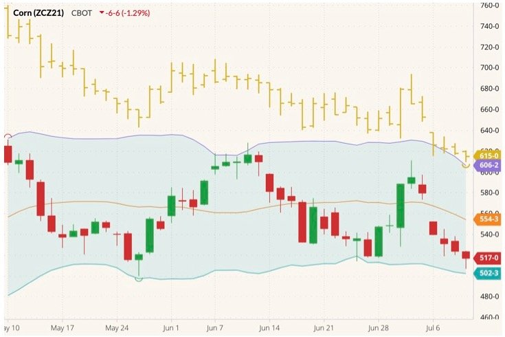 CBOT December 2021 corn (candlesticks) with Bollinger bands (20,2) and September 2021 corn (yellow open/high/low/close). (Barchart)

