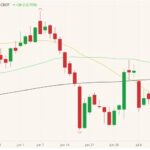 CBOT August 2021 soybeans with 20-, 50- and 100-day moving averages (yellow, green and black lines). (Barchart)