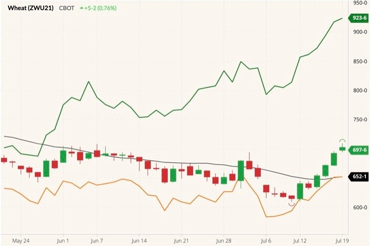 CBOT September 2021 wheat (candlesticks) with 20-day moving average (black line) and MGEX and K.C. September 2021 wheats (green and orange lines). (Barchart)

