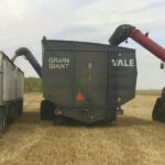 A Grain Giant in operation in Richardson, Sask., in August 2020.
