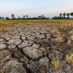 Scientists emphasize that the effects of climate change are already here.  Photo: Getty Images